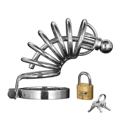 Asylum - Chastity Cage with 6 Rings - M/L