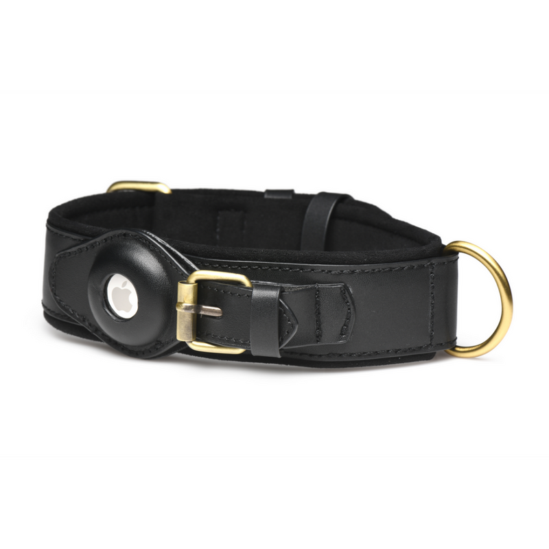 Tracer - Tracking Collar - Black
