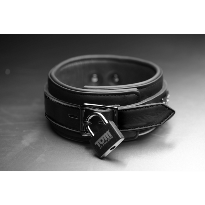 Neoprene Collar with Lock